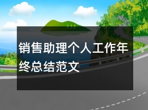 銷售助理個人工作年終總結(jié)范文