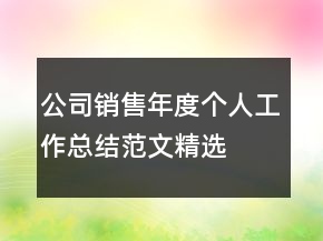 公司銷售年度個人工作總結范文精選