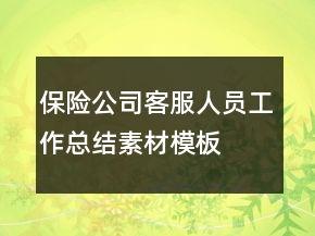 保險(xiǎn)公司客服人員工作總結(jié)素材模板