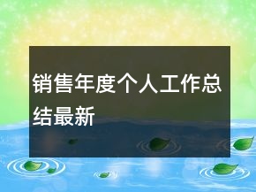 銷售年度個人工作總結(jié)最新