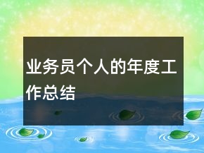業(yè)務(wù)員個人的年度工作總結(jié)
