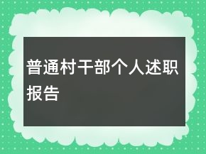 普通村干部個人述職報告