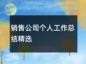 銷售公司個(gè)人工作總結(jié)精選