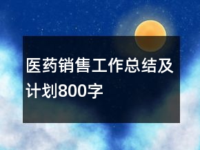 醫(yī)藥銷售工作總結(jié)及計劃800字
