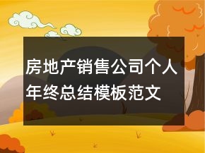 房地產(chǎn)銷售公司個(gè)人年終總結(jié)模板范文精選
