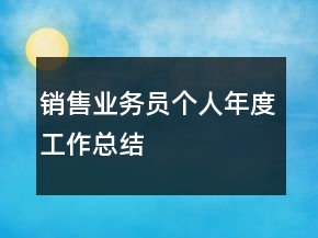 銷售業(yè)務員個人年度工作總結(jié)