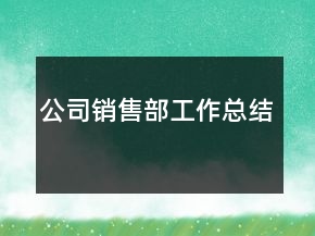 公司銷售部工作總結(jié)