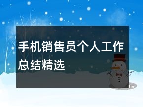 手機(jī)銷(xiāo)售員個(gè)人工作總結(jié)精選