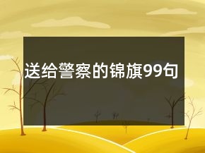 送給警察的錦旗99句