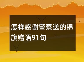 怎樣感謝警察送的錦旗贈語91句