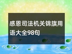 感恩司法機(jī)關(guān)錦旗用語(yǔ)大全98句