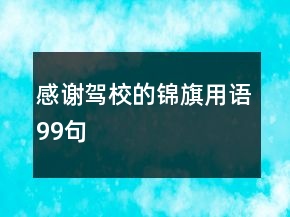 感謝駕校的錦旗用語99句
