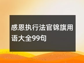 感恩執(zhí)行法官錦旗用語(yǔ)大全99句