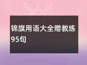 錦旗用語大全贈教練95句