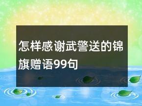 怎樣感謝武警送的錦旗贈語99句