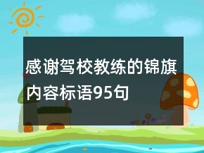 感謝駕校教練的錦旗內(nèi)容標(biāo)語95句