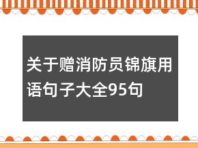 關(guān)于贈(zèng)消防員錦旗用語(yǔ)句子大全95句