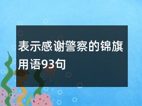表示感謝警察的錦旗用語93句