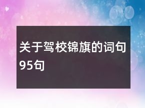 關(guān)于駕校錦旗的詞句95句