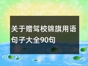 關(guān)于贈駕校錦旗用語句子大全90句