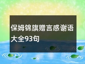 保姆錦旗贈(zèng)言感謝語(yǔ)大全93句