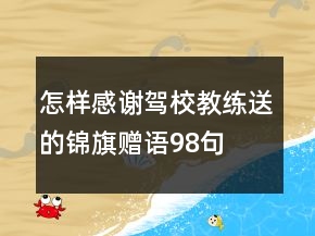 怎樣感謝駕校教練送的錦旗贈(zèng)語(yǔ)98句