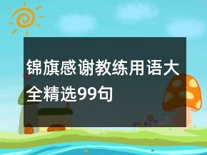 錦旗感謝教練用語大全精選99句