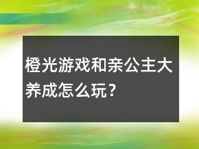 橙光游戲和親公主大養(yǎng)成怎么玩？