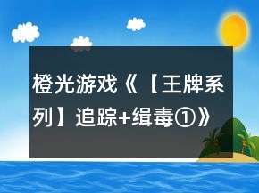 橙光游戲《【王牌系列】追蹤+緝毒①》第一季攻略