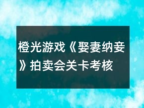 橙光游戲《娶妻納妾》拍賣會關(guān)卡考核攻略