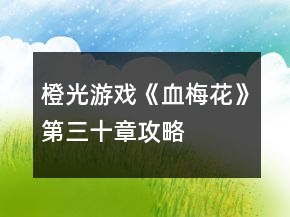 橙光游戲《血梅花》第三十章攻略
