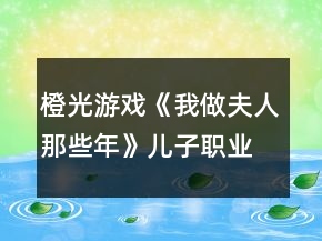 橙光游戲《我做夫人那些年》兒子職業(yè)策劃攻略