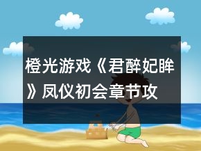 橙光游戲《君醉妃眸》鳳儀初會章節(jié)攻略