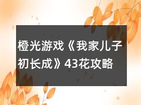 橙光游戲《我家兒子初長成》43花攻略