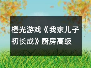 橙光游戲《我家兒子初長成》廚房高級餐飲攻略