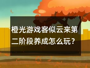 橙光游戲客似云來第二階段養(yǎng)成怎么玩？