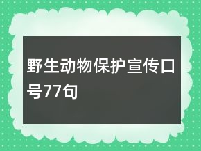 野生動(dòng)物保護(hù)宣傳口號(hào)77句