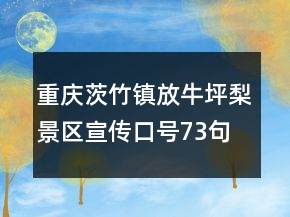 重慶茨竹鎮(zhèn)放牛坪梨景區(qū)宣傳口號73句