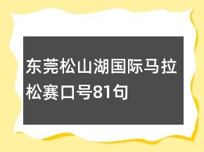 東莞松山湖國際馬拉松賽口號81句