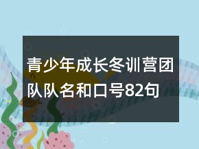 青少年成長冬訓(xùn)營團(tuán)隊(duì)隊(duì)名和口號82句