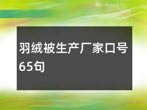 羽絨被生產(chǎn)廠家口號65句