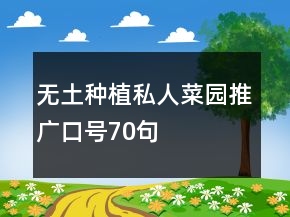 無土種植私人菜園推廣口號70句