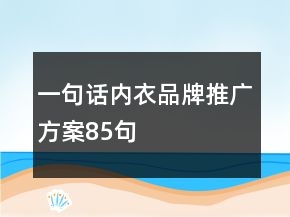 一句話內衣品牌推廣方案85句