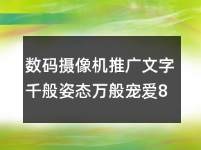 數(shù)碼攝像機(jī)推廣文字：千般姿態(tài)萬(wàn)般寵愛(ài)81句