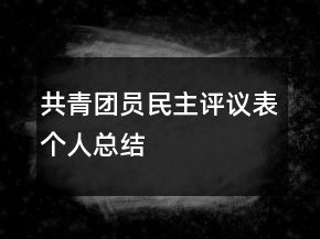 共青團(tuán)員民主評議表個人總結(jié)