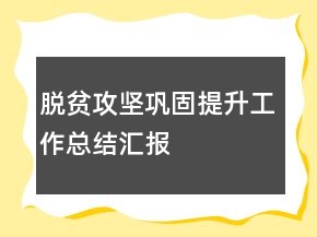 脫貧攻堅(jiān)鞏固提升工作總結(jié)匯報(bào)