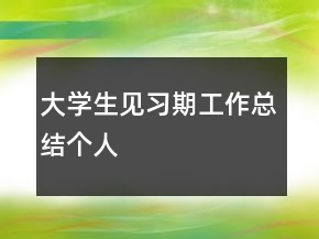 大學(xué)生見習(xí)期工作總結(jié)個(gè)人