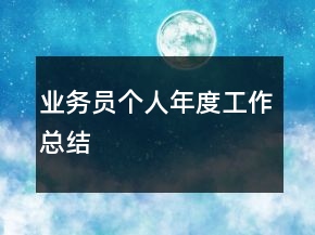 業(yè)務(wù)員個(gè)人年度工作總結(jié)