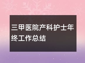三甲醫(yī)院產(chǎn)科護士年終工作總結(jié)