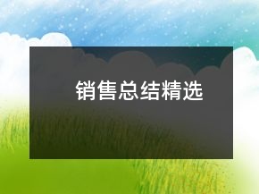 銷(xiāo)售總結(jié)精選